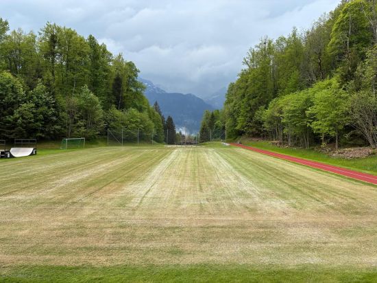 Foto Sportplatz nach Behandlung.jpg